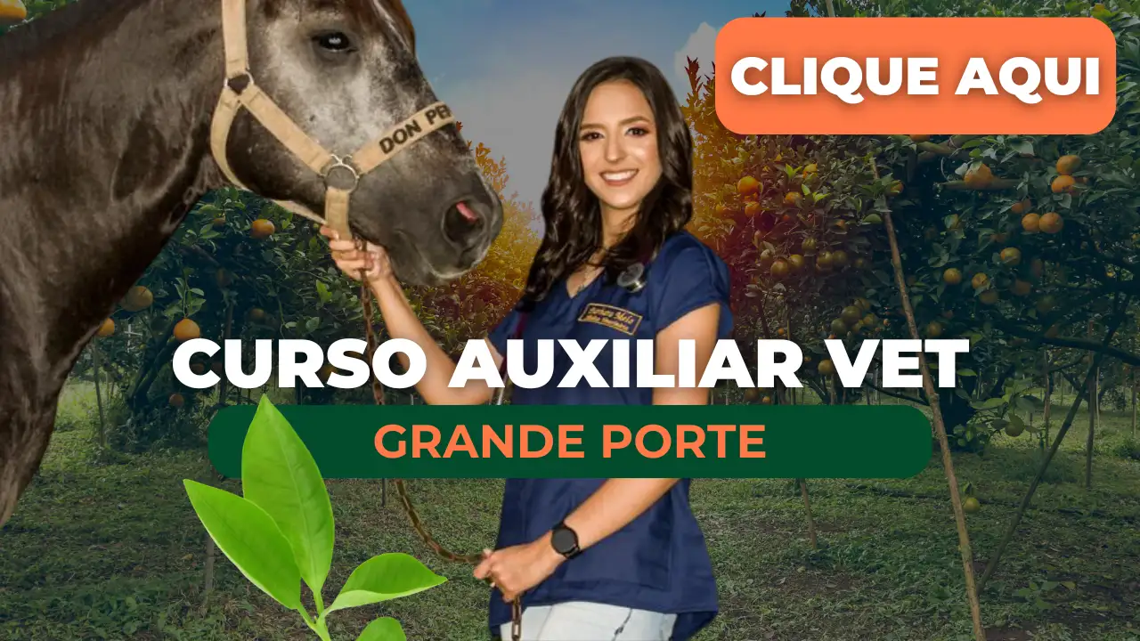 Curso de Auxiliar Veterinário Online Animais de Grande porte