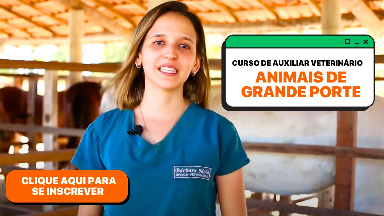 CURSO TÉCNICO DE VETERINÁRIA