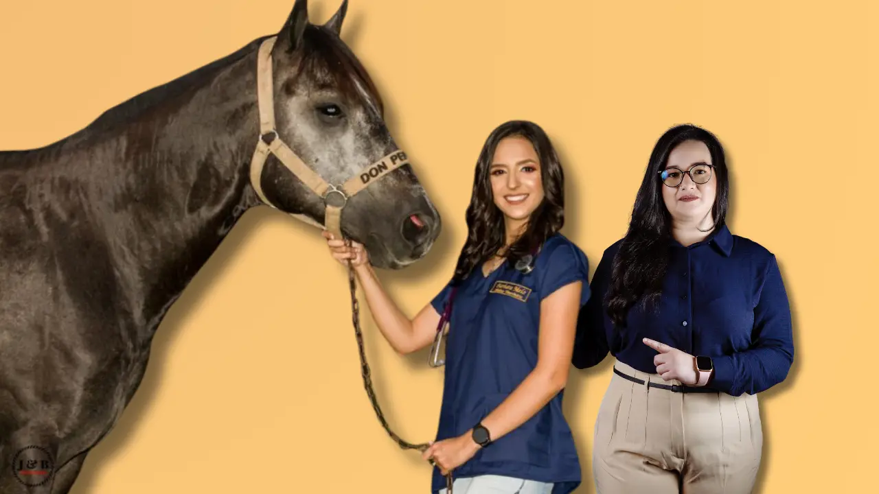 auxiliar veterinário